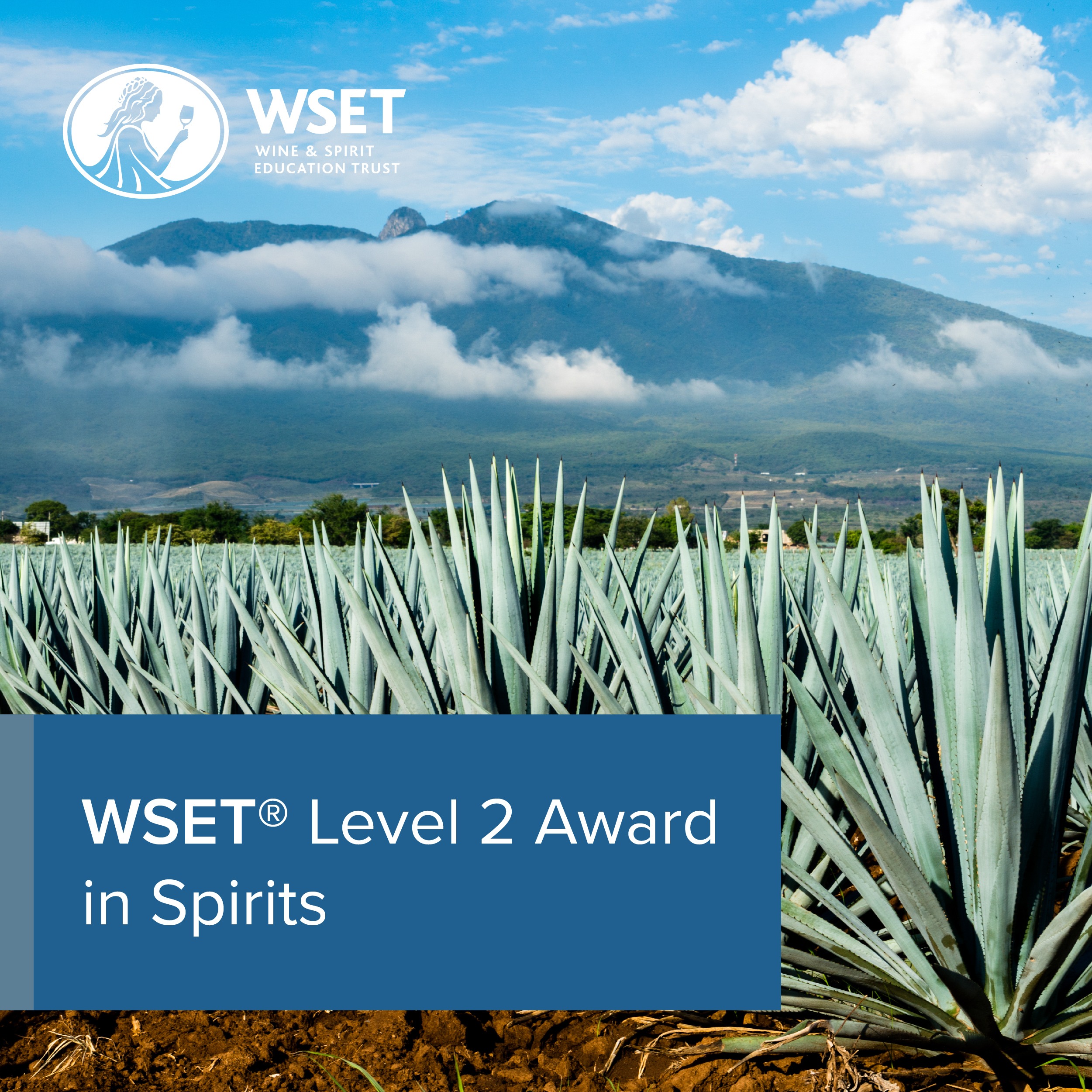 WSET Level 2 Award in Spirits Online Course